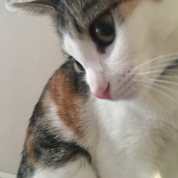 Meet your Posher, !! - Picture 3 of 3